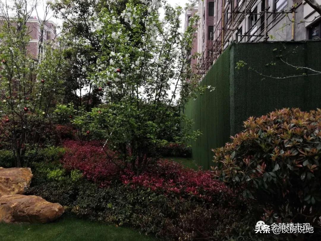 保利集团最新消息,保利换帅