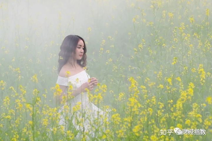 自媒体免费分享工具,免费的最好用的自媒体同步工具