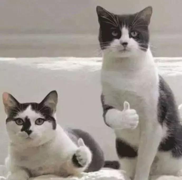 平价好用夏季防晒测评,夏天哪个防晒效果最好