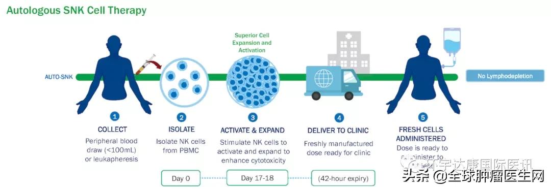 nk细胞治疗癌症晚期有用吗,异体nk细胞肺癌