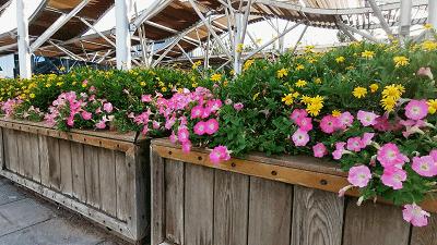 华为p30pro手机拍摄技巧入门,华为p30pro手机怎么拍出高清视频