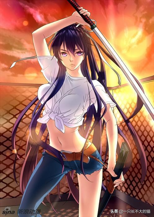 好看的少女动漫推荐日漫,推荐御姐动漫