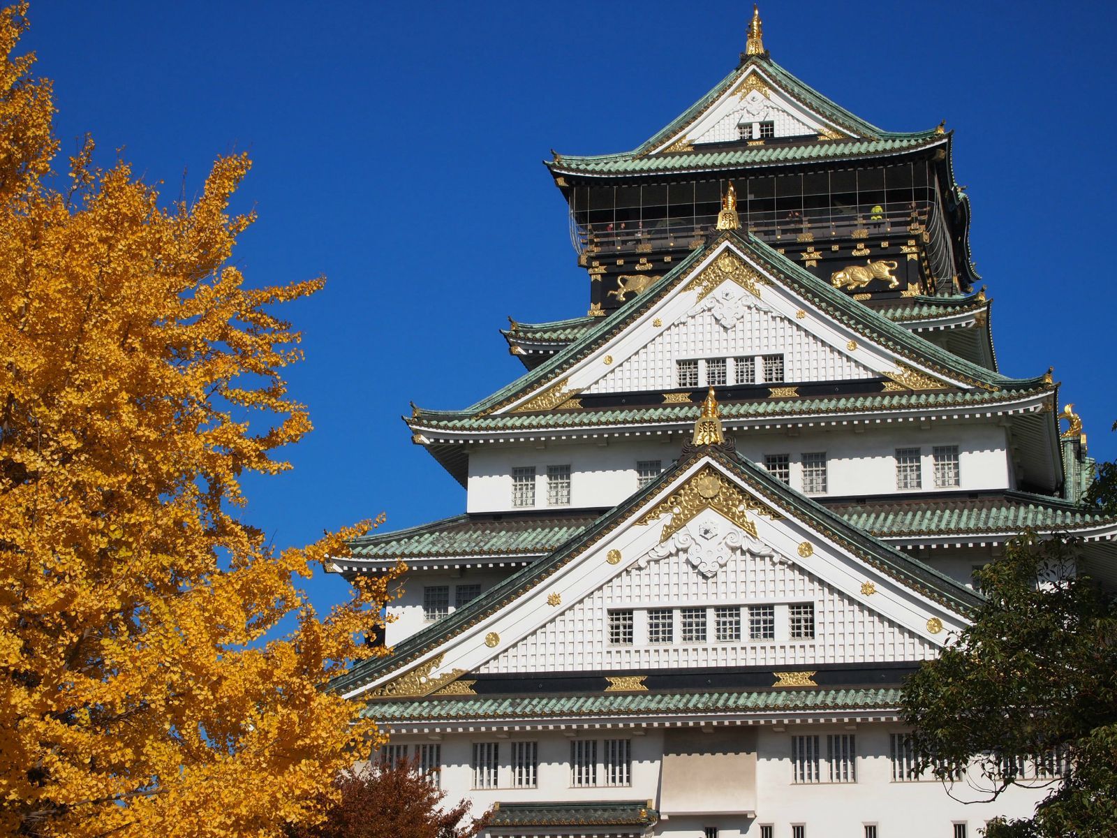 aj34八村塁樱花实战测评,aj35八村塁版本测评