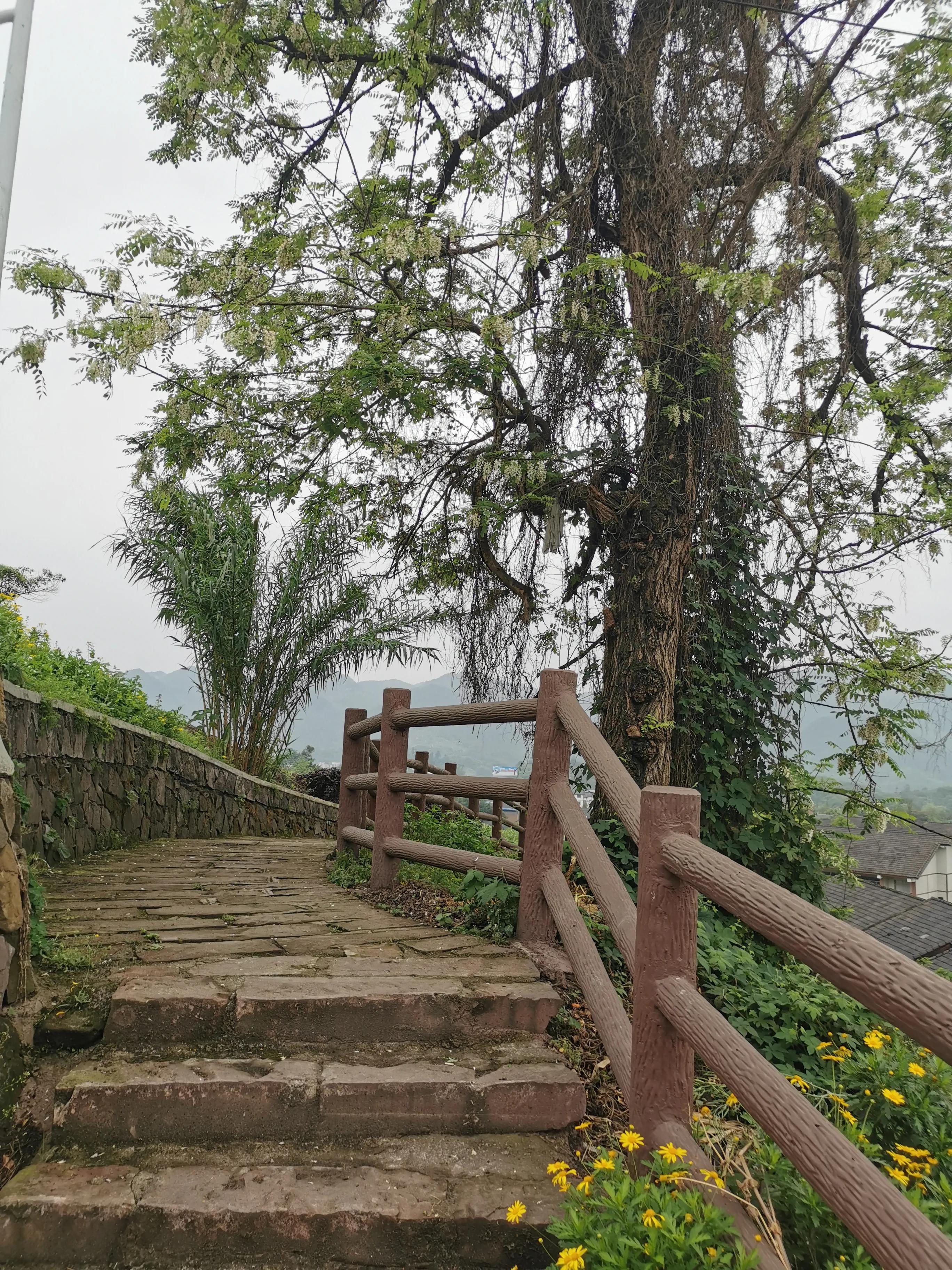 走马古镇全部图片,走马印象