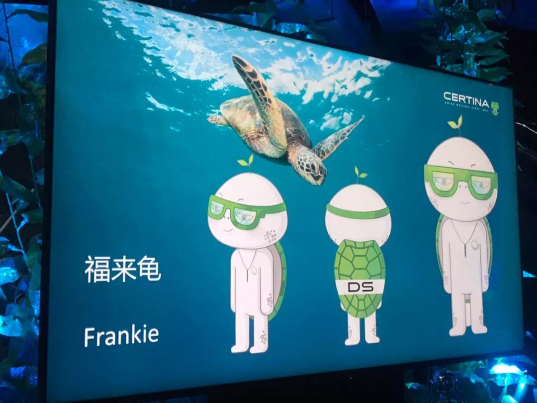 沛纳海潜水表哪个系列好,沛纳海潜水表评价