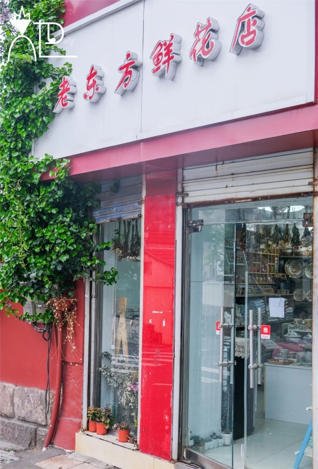 她圈推荐｜坐标青岛！这些餐具控必逛的私藏小店你都去过吗？