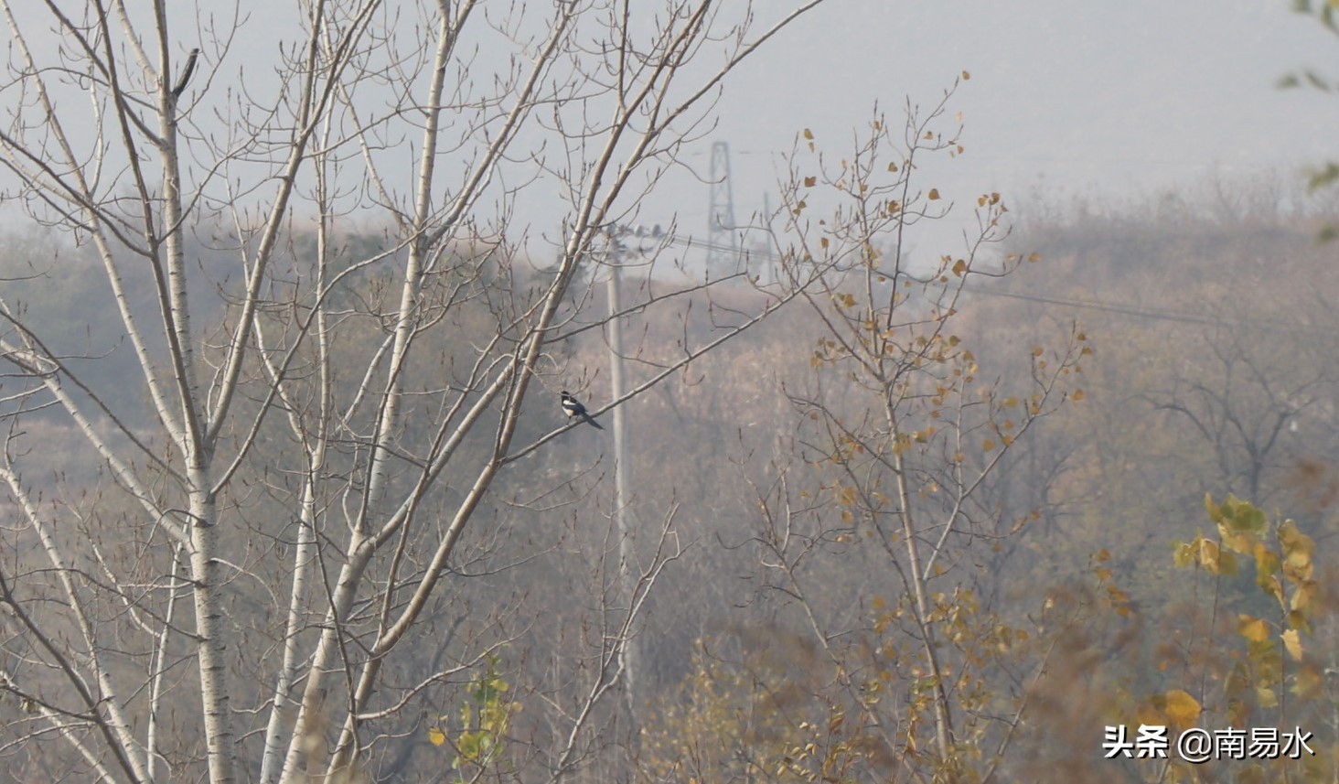 家乡风景带你一起感受自然的味道,令你难以忘怀的家乡的味道