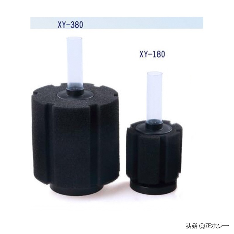 养金鱼适合圆形高杠还是低杠,金鱼怎么建缸容易养好