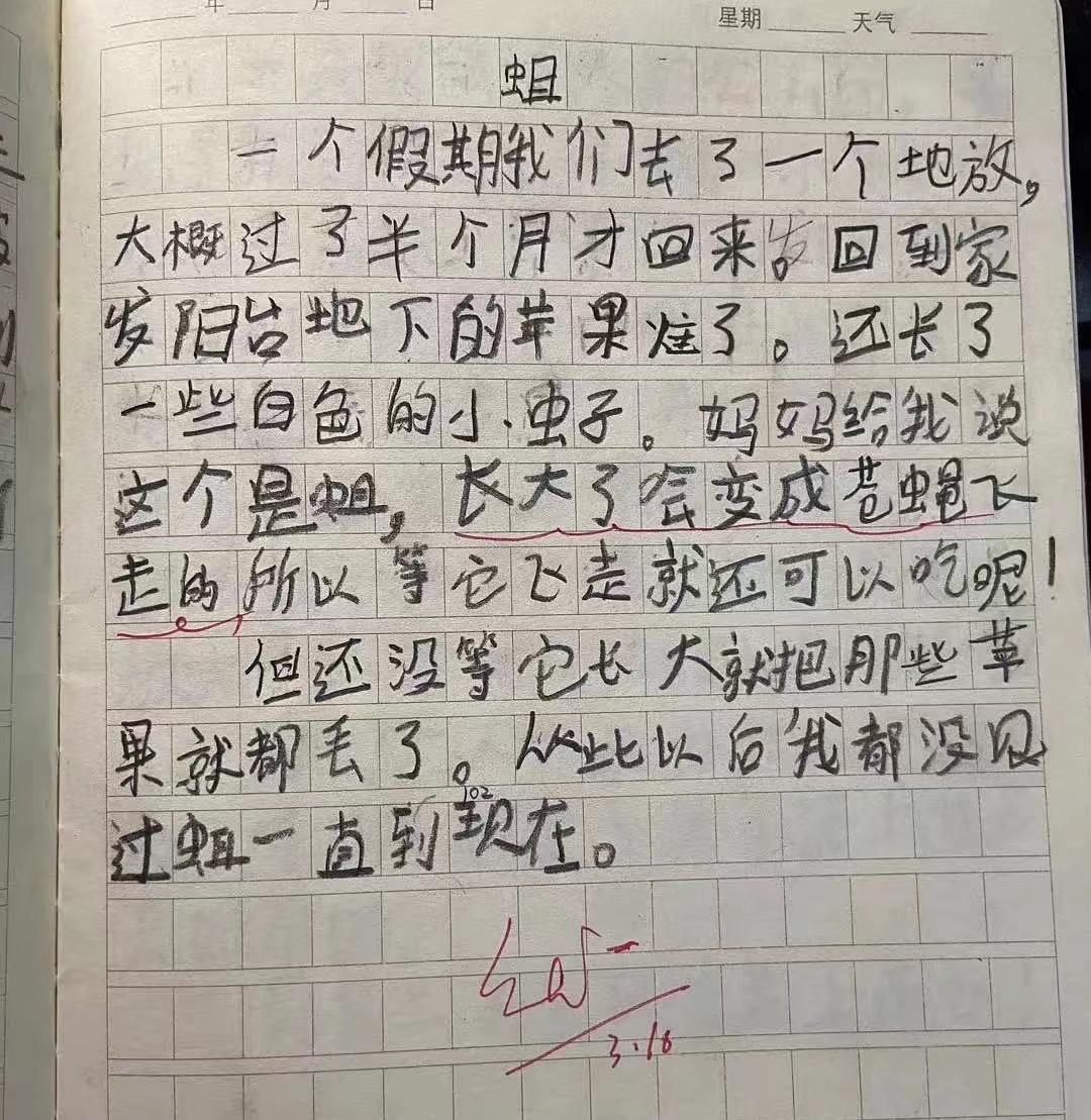 小学生作文《冤枉》走红，故事反转再反转，老师看后捧腹大笑