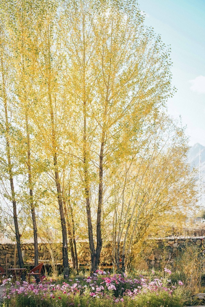 大美*疆新**，一个快递不包邮的地方，藏着不一样的异域风情