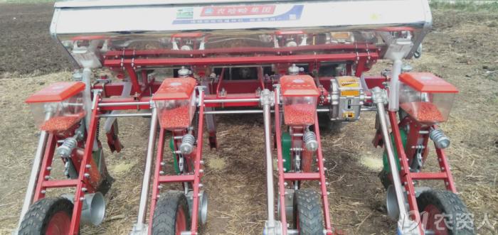 河南适合种植高产玉米,玉米高产高效种植技术