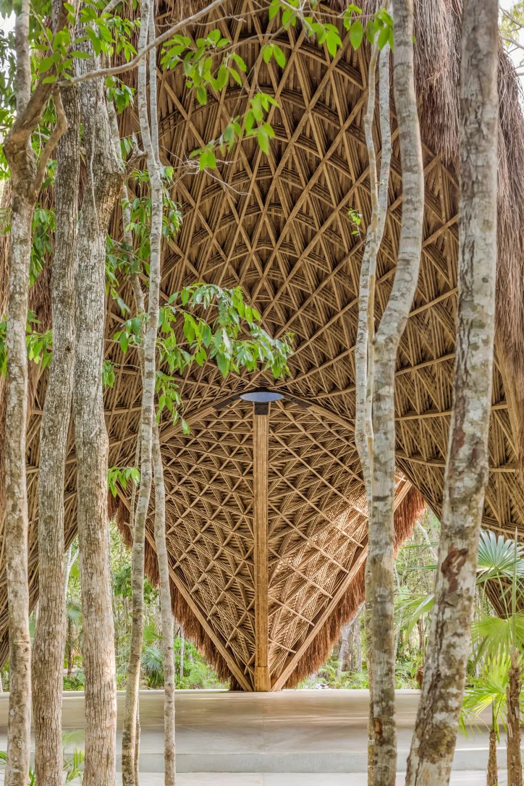 bamboo绔瑰瓙,bamboo绔规湪