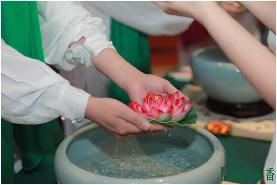 静心养生禅修,静心养心禅悟人生