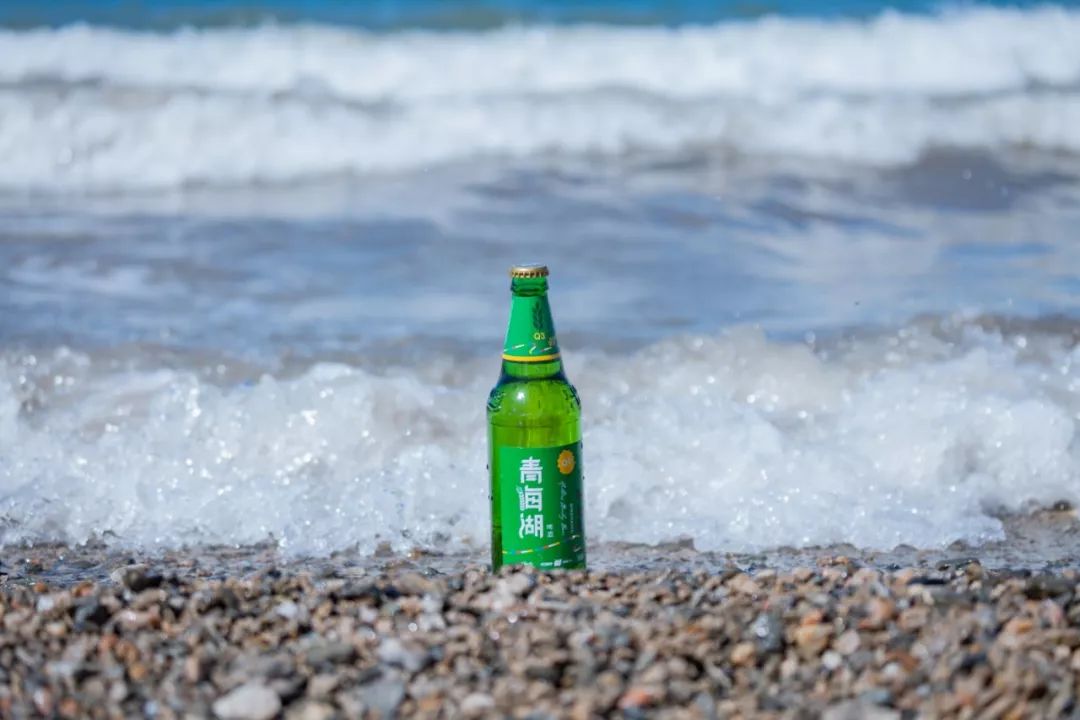 只要你面朝青海湖，八月依旧春暖花开