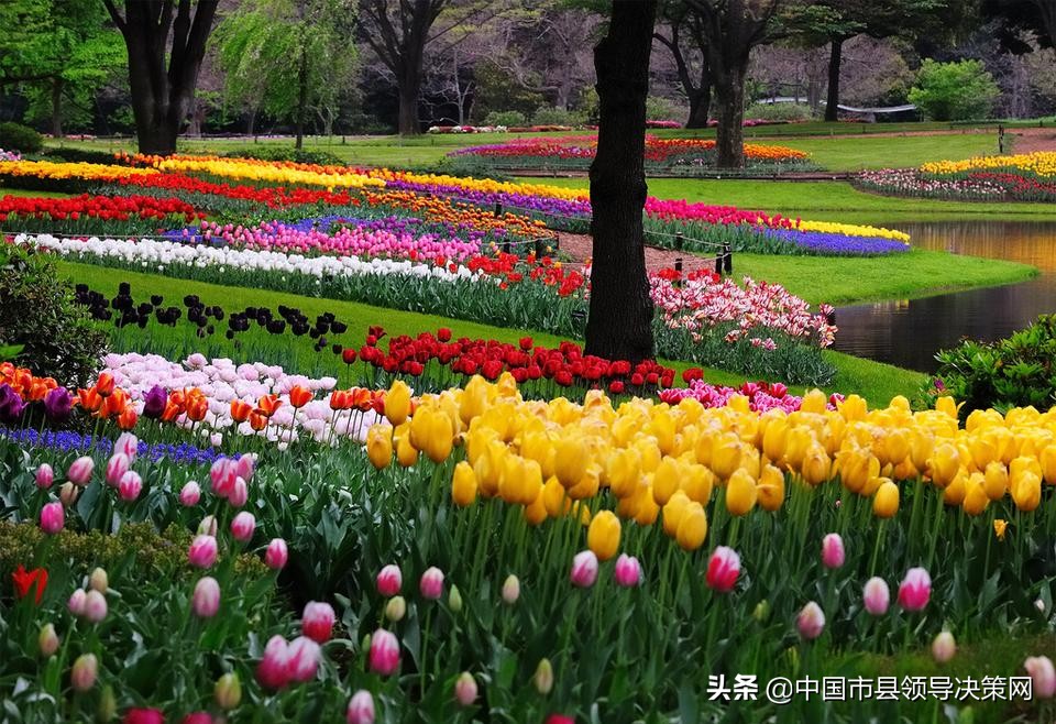 燕赵多豪杰的诗句,燕赵多义士诗词