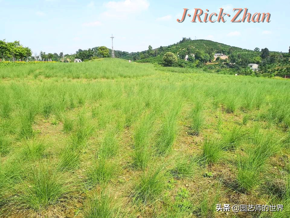 值得参观的国内优秀花园之品鉴（上篇）