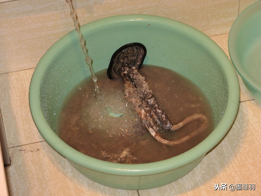 热水器几年不清洗水会引起过敏吗,热水器太久不清洗身体痒