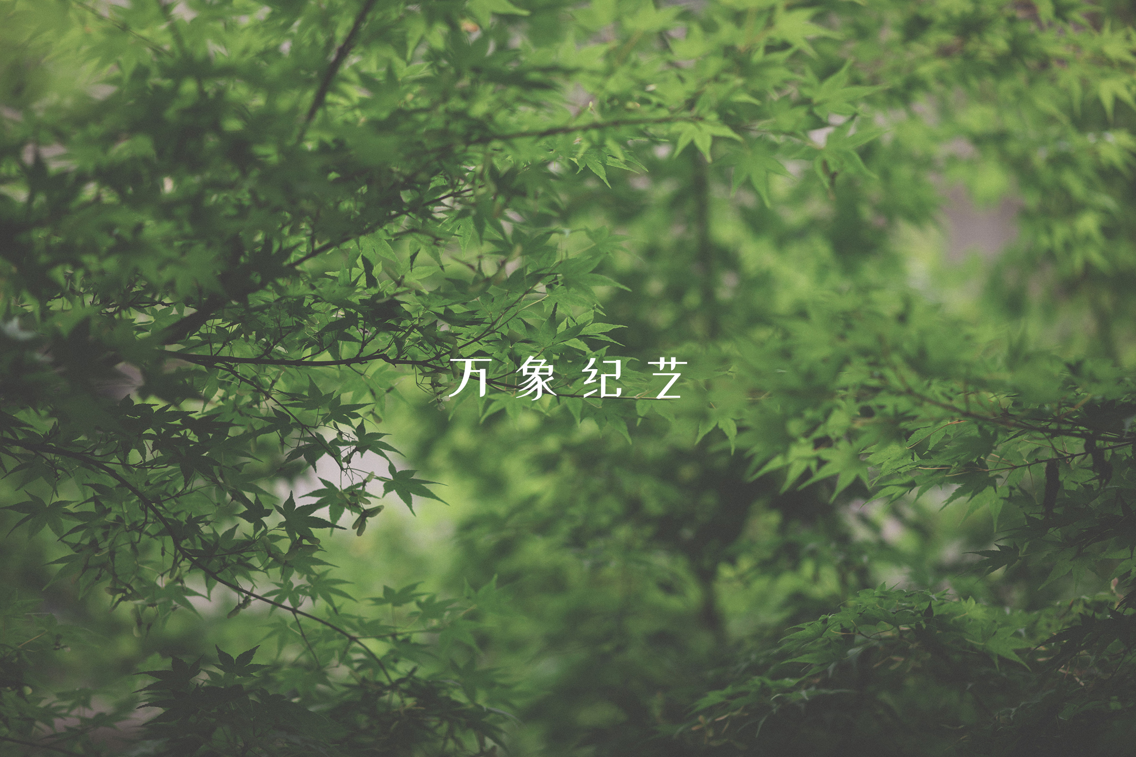 手绘屏保图片手机壁纸,手机壁纸屏保图片可保存至相册