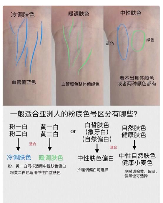 粉底视频大全,粉底大揭秘