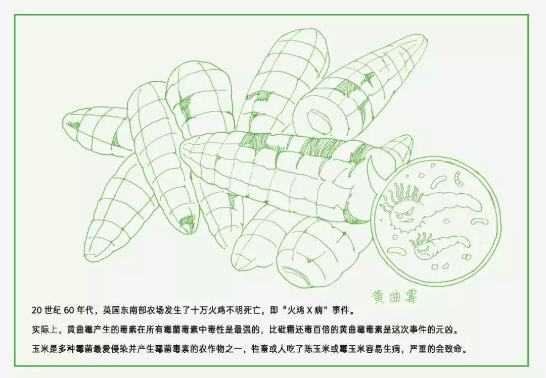 为什么剖腹产宝宝一出生就输在肠道微生物的起跑线上