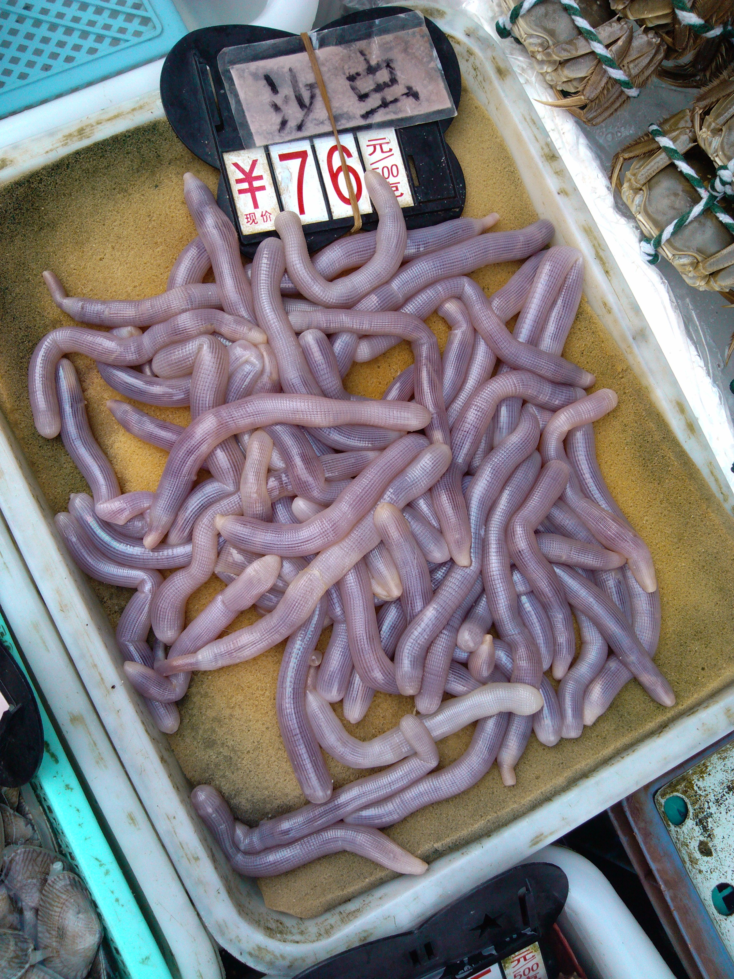 珠海海鲜游,珠海澳门环岛游时间表