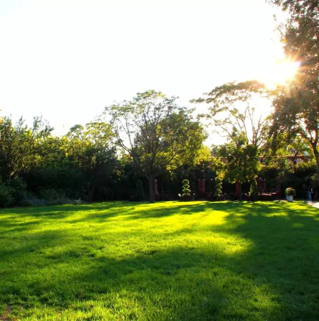 花园草地打理,花园草坪养护