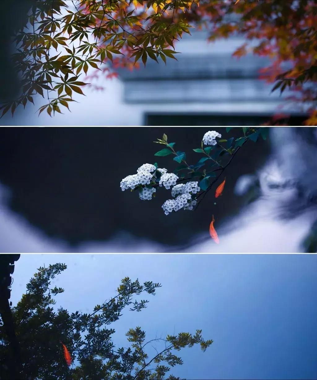 古典意象现代诗,意境深远的现代诗