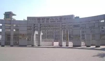 关于武清学区房，大神杨总说...