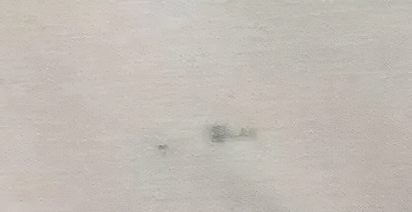 这些都是染色疵病，有图有真相