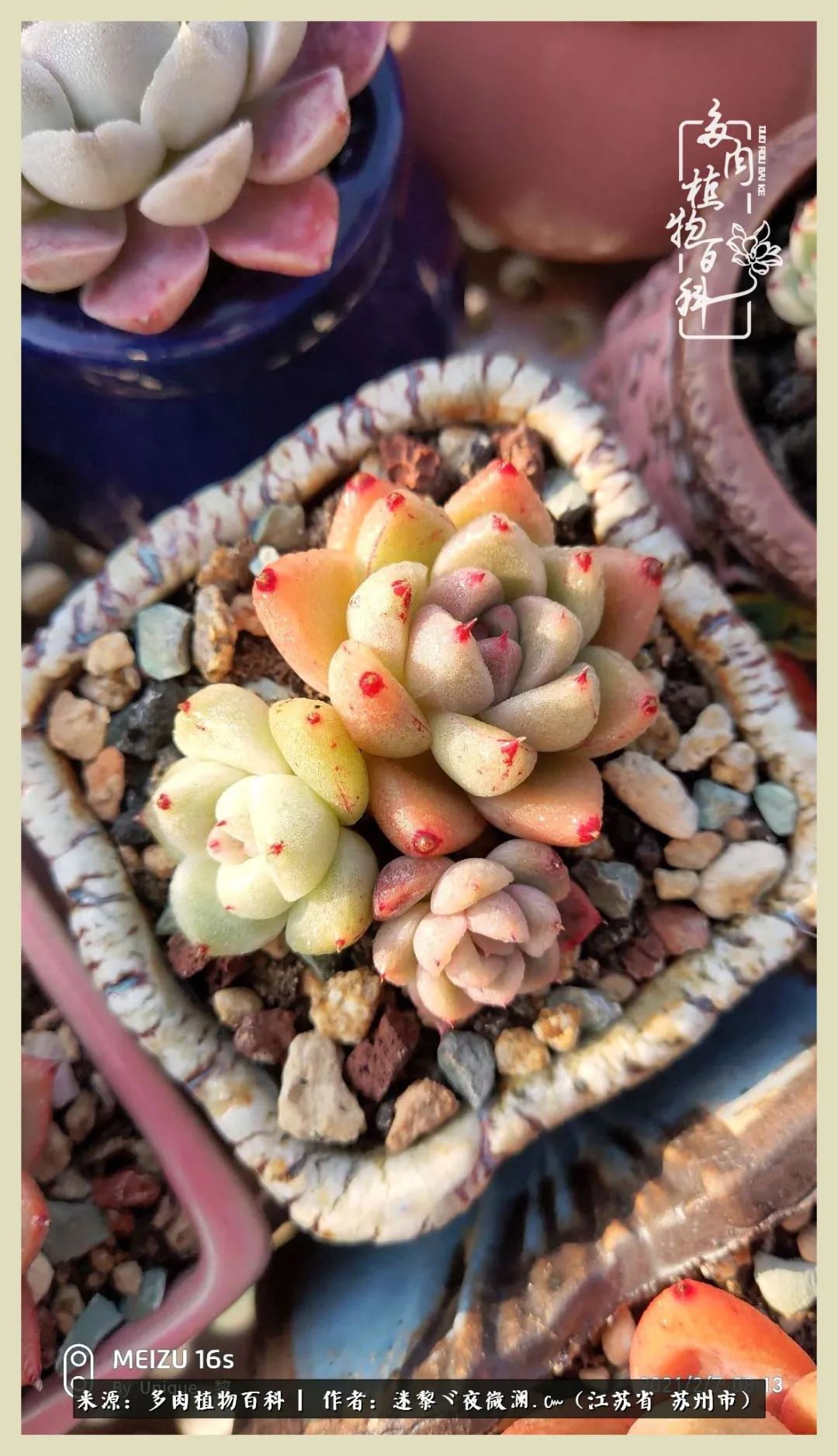 秋尽冬来岁月不居时节如流,岁月不居时节如流水