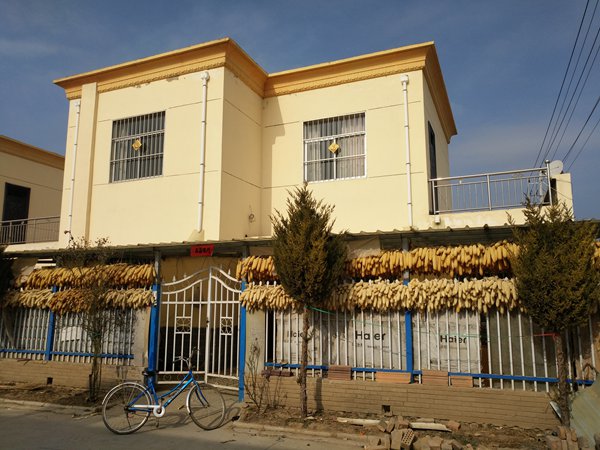 甘肃宁县8岁女童被伤害案,甘肃宁县8岁女童遭欺凌事件调查