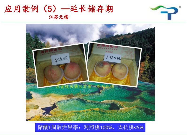 几丁聚糖农药作用机理,几丁聚糖在植物中的作用