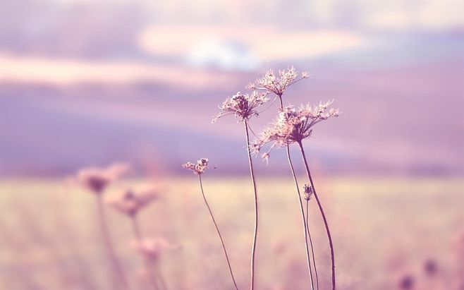 心理学上有的人为什么那么暴躁,心理学发脾气的人才最值得深交