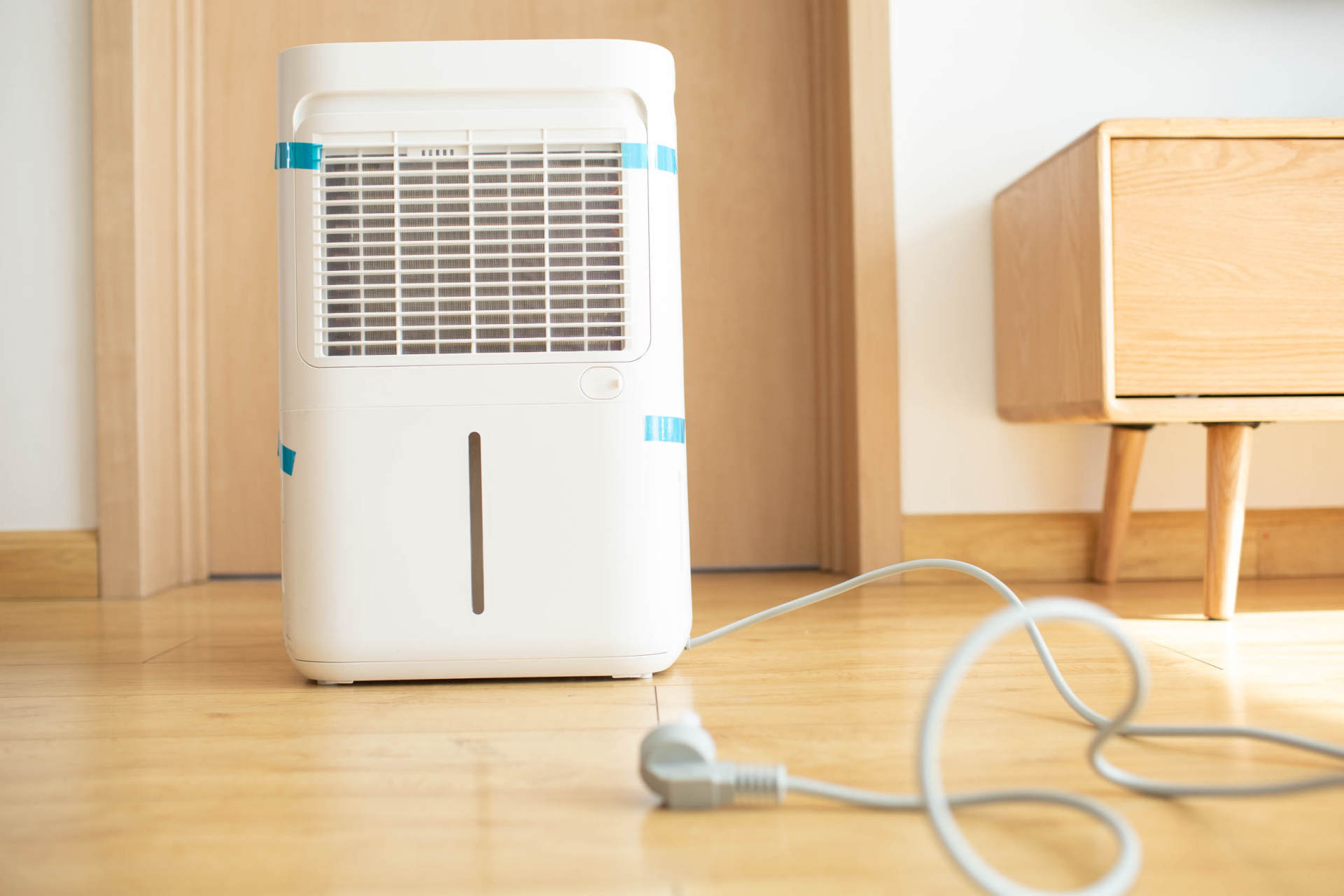 抵御南方湿冷的魔法攻击，小而强悍的伊岛*湿机除**