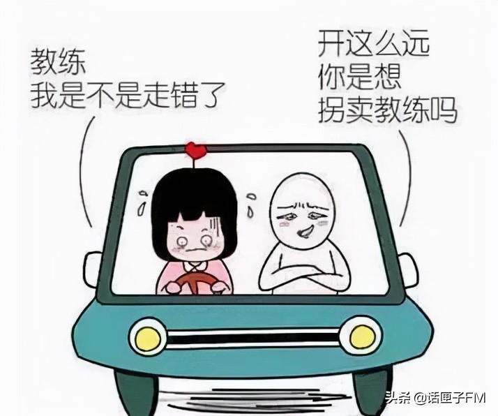 上海驾校教练发飙,上海驾校教练被骂