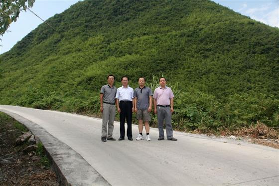 黄山的金凤凰,山沟里的金凤凰湖北