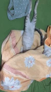 让你心动的搞笑图片,搞笑gif笑死人的动图