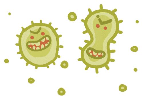 如何区分各种鼻炎用药方案,怎样区别鼻炎和感冒鼻塞