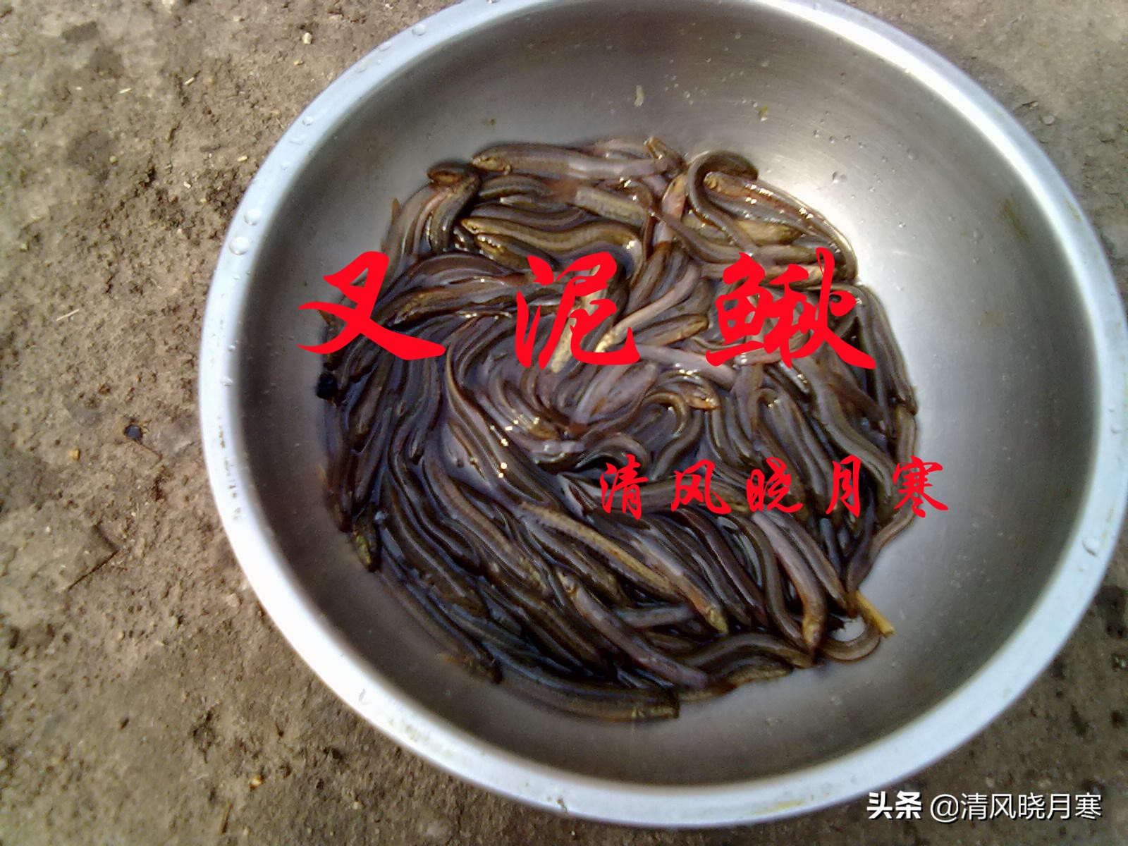 叉泥鳅技术,叉泥鳅