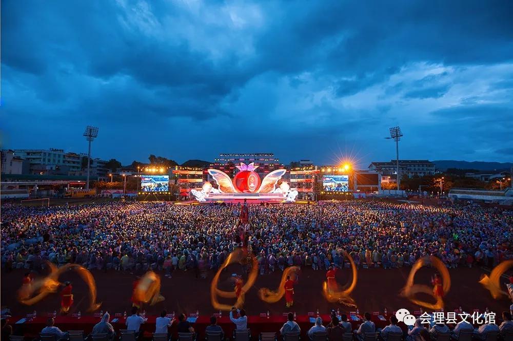 哪里有软籽石榴苗出售,无籽石榴苗去哪里购买