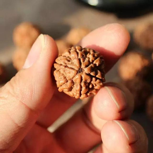 小金刚菩提子怎么刷包浆快,金刚菩提子正确刷法