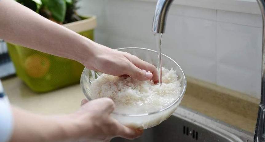 淘米水养花技术,养花浇淘米水有什么作用