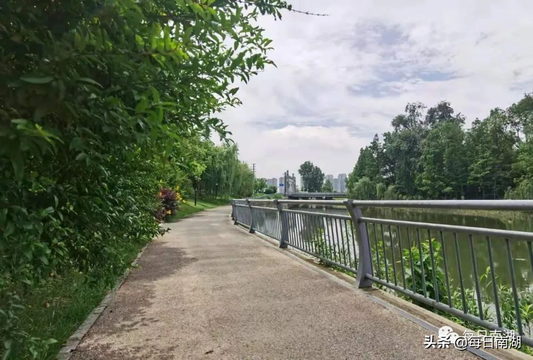 南湖的生态公园,南湖公园在未来哪里