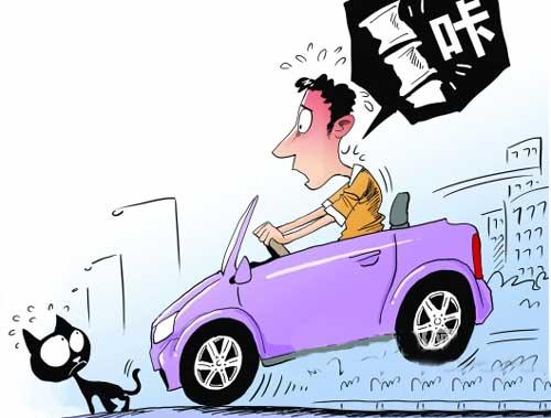 前方有动物横穿可以采取紧急避让,遇到猛兽可以开车直接撞吗