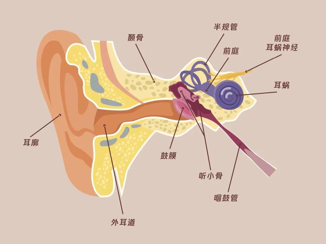 坐车晕车怎么办简单的一招学起来,一坐车就晕车教你几个好方法