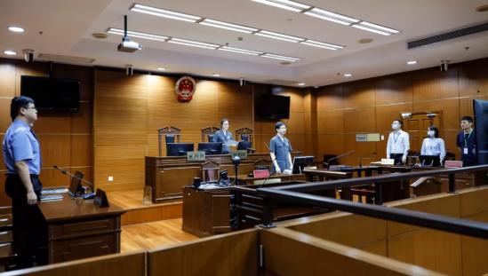 非法集资孔祥友判决,旌逸集团非法集资