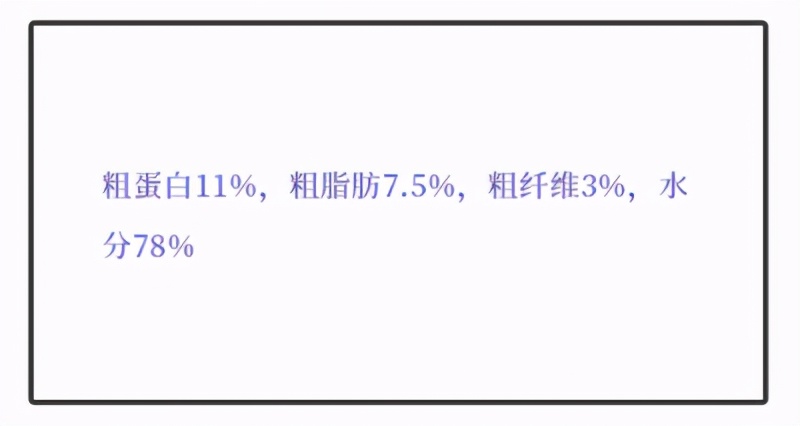 养肥猫的技术视频教程,新手养猫如何挑选主食罐