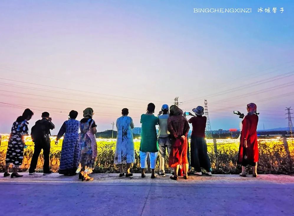 做把“村姑”，走进海南灯火灿烂的火龙果园