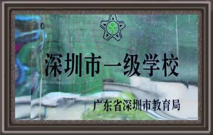 投资10亿，坐标布吉，这是一所被低估的宝藏学校