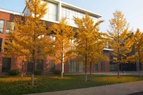 瀹濊摑鑲′唤鏈夐檺鍏徃,瀹濊摑鑲′唤